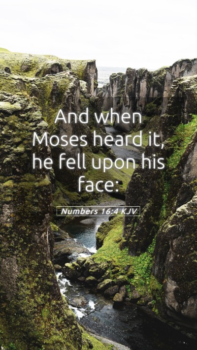 Picture 05 - Numbers 16:4 KJV Mobile Phone Wallpaper - And when Moses heard it, he fell upon his - Mobile Bible Verse Wallpaper