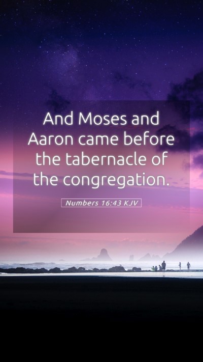 Picture 05 - Numbers 16:43 KJV Mobile Phone Wallpaper - And Moses and Aaron came before the tabernacle of - Mobile Bible Verse Wallpaper