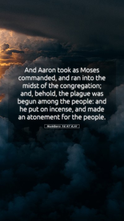 Picture 05 - Numbers 16:47 KJV Mobile Phone Wallpaper - And Aaron took as Moses commanded, and ran into - Mobile Bible Verse Wallpaper