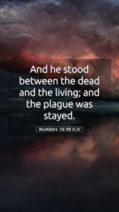 Picture 05 - Numbers 16:48 KJV Mobile Phone Wallpaper - And he stood between the dead and the living; and - Mobile Bible Verse Wallpaper