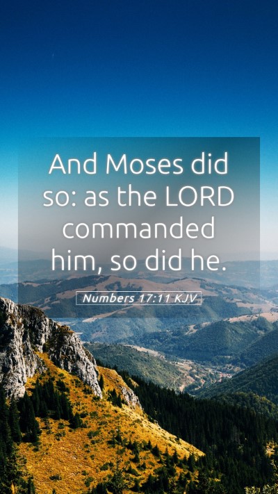 Picture 05 - Numbers 17:11 KJV Mobile Phone Wallpaper - And Moses did so: as the LORD commanded him, so - Mobile Bible Verse Wallpaper
