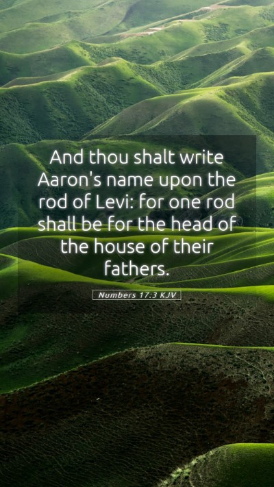 Picture 05 - Numbers 17:3 KJV Mobile Phone Wallpaper - And thou shalt write Aaron's name upon the rod of - Mobile Bible Verse Wallpaper