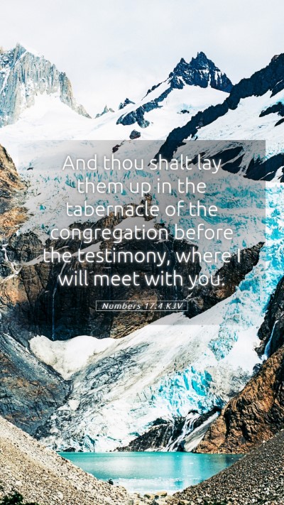 Picture 05 - Numbers 17:4 KJV Mobile Phone Wallpaper - And thou shalt lay them up in the tabernacle of - Mobile Bible Verse Wallpaper
