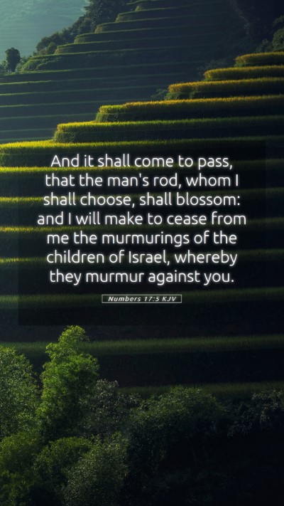 Picture 05 - Numbers 17:5 KJV Mobile Phone Wallpaper - And it shall come to pass, that the man's rod, - Mobile Bible Verse Wallpaper