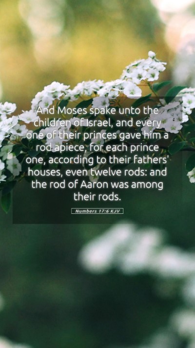 Picture 05 - Numbers 17:6 KJV Mobile Phone Wallpaper - And Moses spake unto the children of Israel, and - Mobile Bible Verse Wallpaper