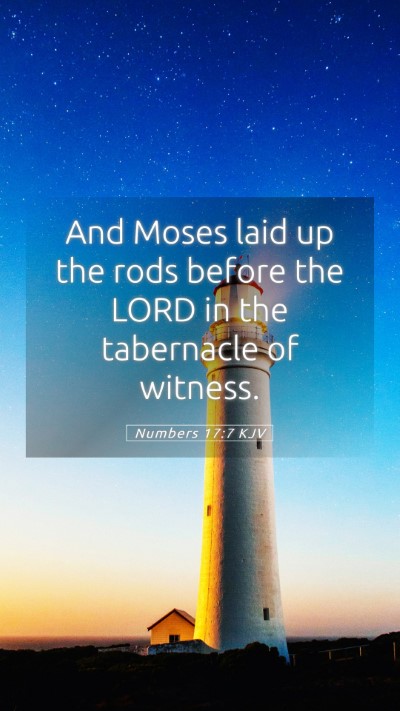 Picture 05 - Numbers 17:7 KJV Mobile Phone Wallpaper - And Moses laid up the rods before the LORD in the - Mobile Bible Verse Wallpaper