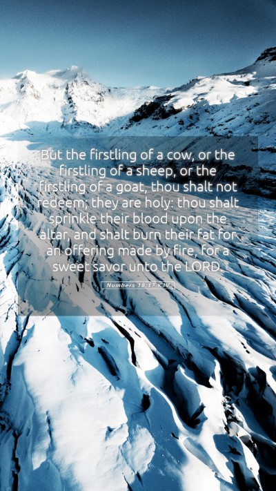 Picture 05 - Numbers 18:17 KJV Mobile Phone Wallpaper - But the firstling of a cow, or the firstling of a - Mobile Bible Verse Wallpaper