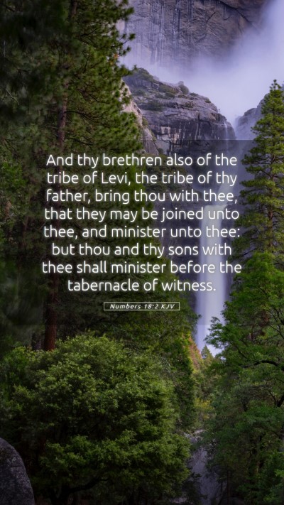 Picture 05 - Numbers 18:2 KJV Mobile Phone Wallpaper - And thy brethren also of the tribe of Levi, the - Mobile Bible Verse Wallpaper