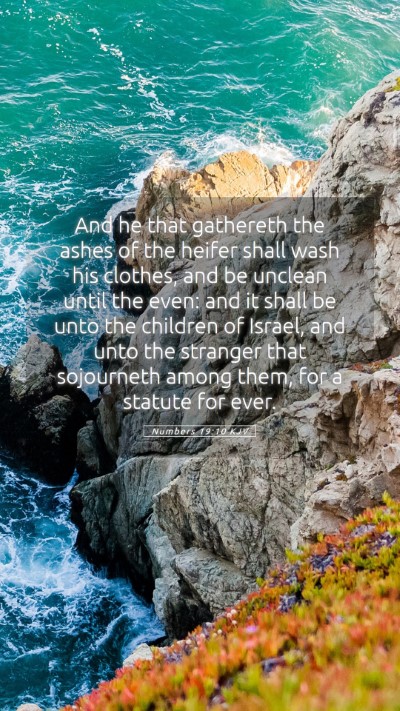 Picture 05 - Numbers 19:10 KJV Mobile Phone Wallpaper - And he that gathereth the ashes of the heifer - Mobile Bible Verse Wallpaper