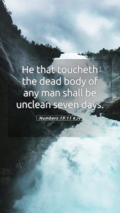 Picture 05 - Numbers 19:11 KJV Mobile Phone Wallpaper - He that toucheth the dead body of any man shall - Mobile Bible Verse Wallpaper