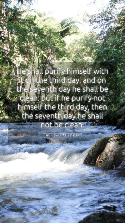 Picture 05 - Numbers 19:12 KJV Mobile Phone Wallpaper - He shall purify himself with it on the third day, - Mobile Bible Verse Wallpaper