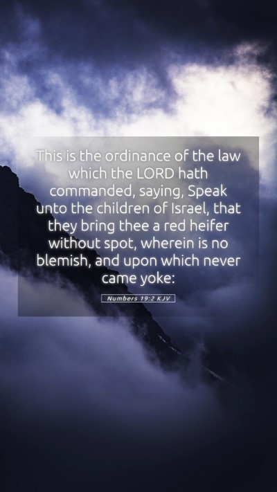 Picture 05 - Numbers 19:2 KJV Mobile Phone Wallpaper - This is the ordinance of the law which the LORD - Mobile Bible Verse Wallpaper