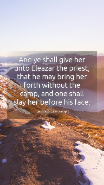 Picture 05 - Numbers 19:3 KJV Mobile Phone Wallpaper - And ye shall give her unto Eleazar the priest, - Mobile Bible Verse Wallpaper