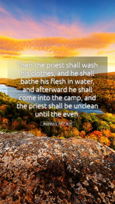 Picture 05 - Numbers 19:7 KJV Mobile Phone Wallpaper - Then the priest shall wash his clothes, and he - Mobile Bible Verse Wallpaper