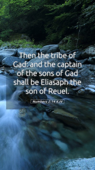 Picture 05 - Numbers 2:14 KJV Mobile Phone Wallpaper - Then the tribe of Gad: and the captain of the - Mobile Bible Verse Wallpaper
