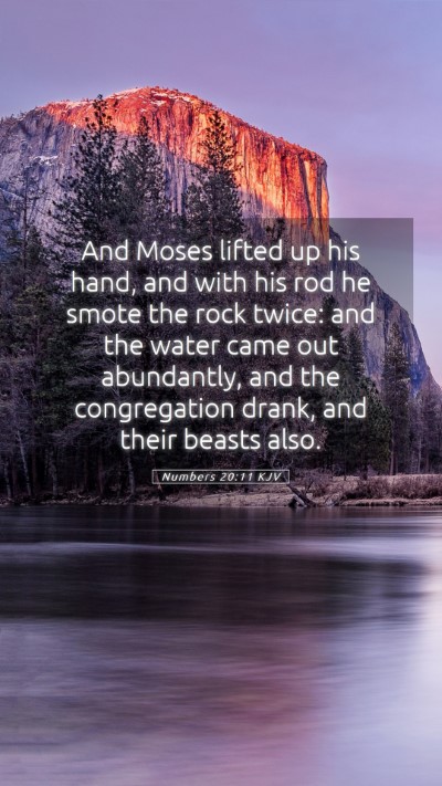 Picture 05 - Numbers 20:11 KJV Mobile Phone Wallpaper - And Moses lifted up his hand, and with his rod he - Mobile Bible Verse Wallpaper