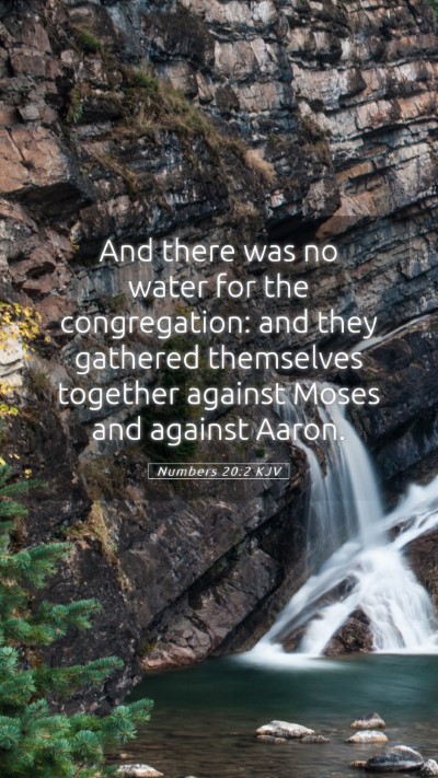 Picture 05 - Numbers 20:2 KJV Mobile Phone Wallpaper - And there was no water for the congregation: and - Mobile Bible Verse Wallpaper