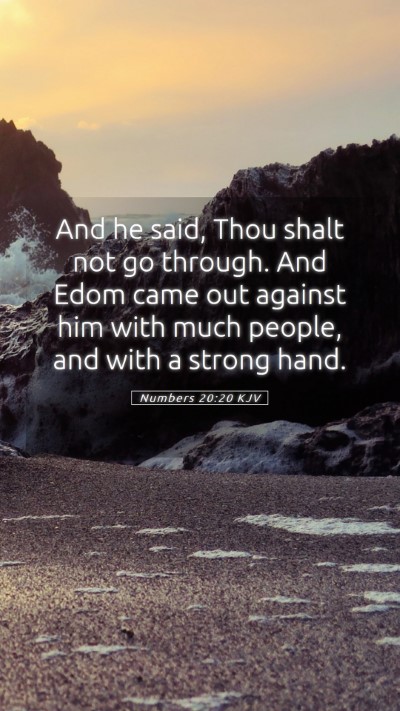 Picture 05 - Numbers 20:20 KJV Mobile Phone Wallpaper - And he said, Thou shalt not go through. And Edom - Mobile Bible Verse Wallpaper