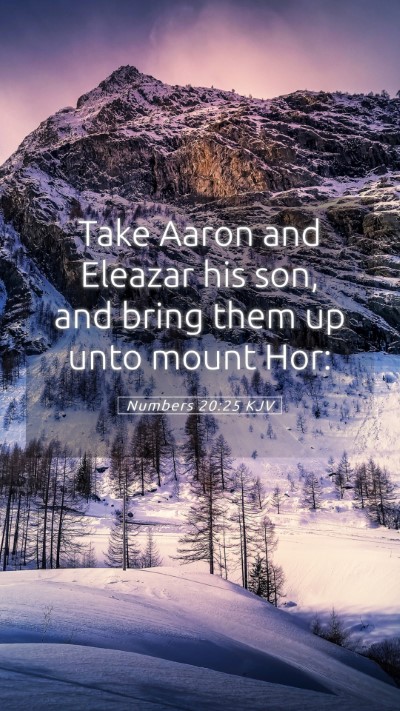 Picture 05 - Numbers 20:25 KJV Mobile Phone Wallpaper - Take Aaron and Eleazar his son, and bring them up - Mobile Bible Verse Wallpaper