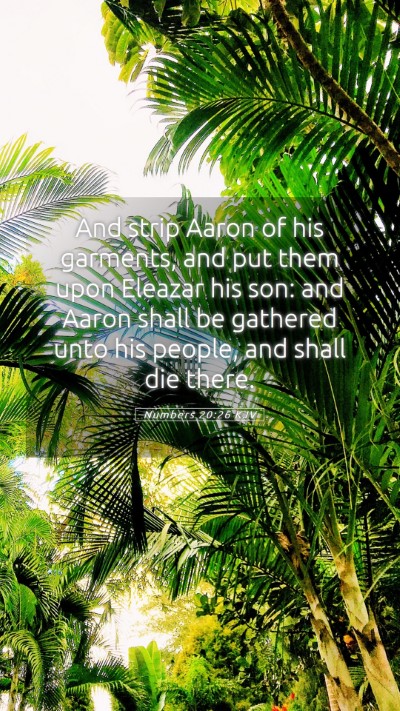 Picture 05 - Numbers 20:26 KJV Mobile Phone Wallpaper - And strip Aaron of his garments, and put them - Mobile Bible Verse Wallpaper