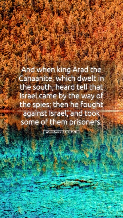 Picture 05 - Numbers 21:1 KJV Mobile Phone Wallpaper - And when king Arad the Canaanite, which dwelt in - Mobile Bible Verse Wallpaper