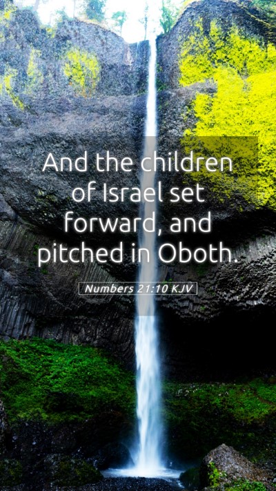 Picture 05 - Numbers 21:10 KJV Mobile Phone Wallpaper - And the children of Israel set forward, and - Mobile Bible Verse Wallpaper