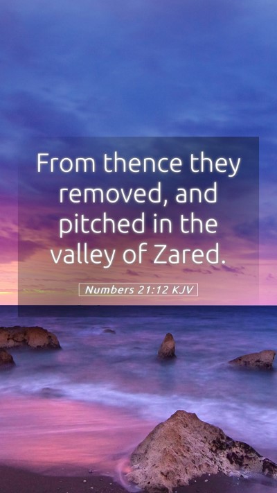 Picture 05 - Numbers 21:12 KJV Mobile Phone Wallpaper - From thence they removed, and pitched in the - Mobile Bible Verse Wallpaper