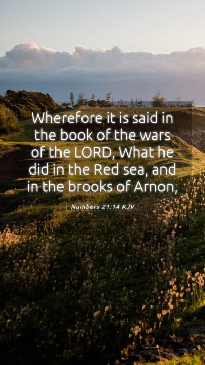 Picture 05 - Numbers 21:14 KJV Mobile Phone Wallpaper - Wherefore it is said in the book of the wars of - Mobile Bible Verse Wallpaper