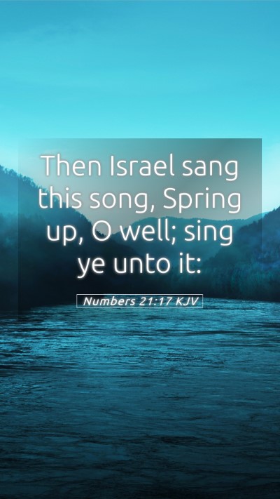 Picture 05 - Numbers 21:17 KJV Mobile Phone Wallpaper - Then Israel sang this song, Spring up, O well; - Mobile Bible Verse Wallpaper