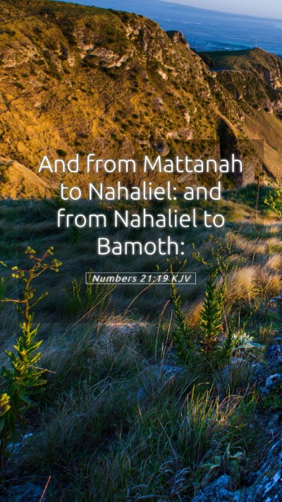 Picture 05 - Numbers 21:19 KJV Mobile Phone Wallpaper - And from Mattanah to Nahaliel: and from Nahaliel - Mobile Bible Verse Wallpaper