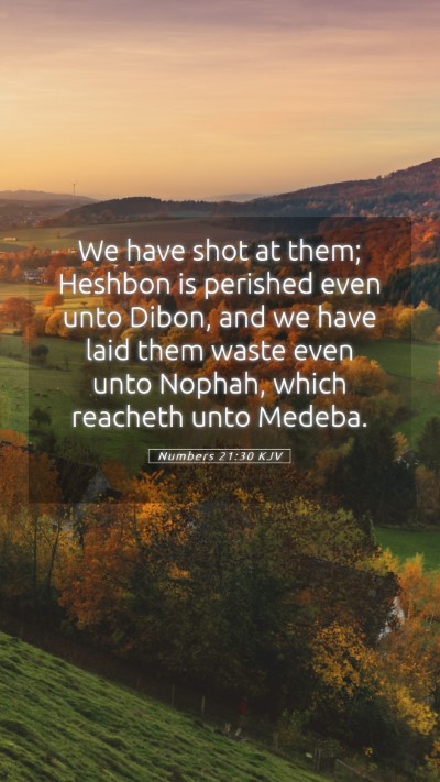 Picture 05 - Numbers 21:30 KJV Mobile Phone Wallpaper - We have shot at them; Heshbon is perished even - Mobile Bible Verse Wallpaper