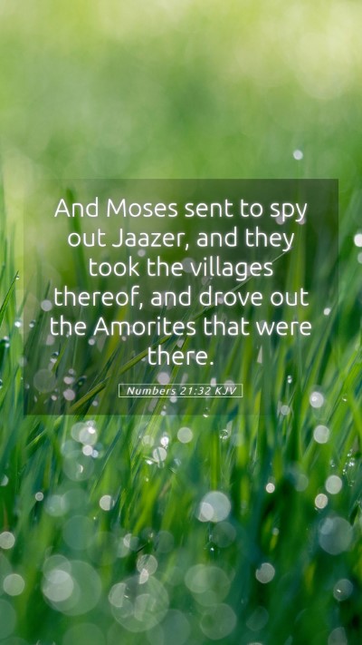 Picture 05 - Numbers 21:32 KJV Mobile Phone Wallpaper - And Moses sent to spy out Jaazer, and they took - Mobile Bible Verse Wallpaper