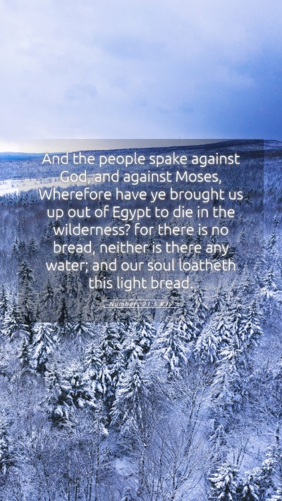 Picture 05 - Numbers 21:5 KJV Mobile Phone Wallpaper - And the people spake against God, and against - Mobile Bible Verse Wallpaper