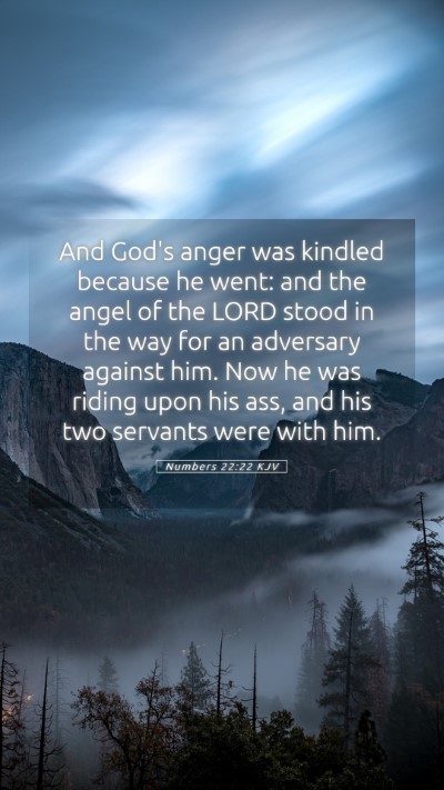 Picture 05 - Numbers 22:22 KJV Mobile Phone Wallpaper - And God's anger was kindled because he went: and - Mobile Bible Verse Wallpaper