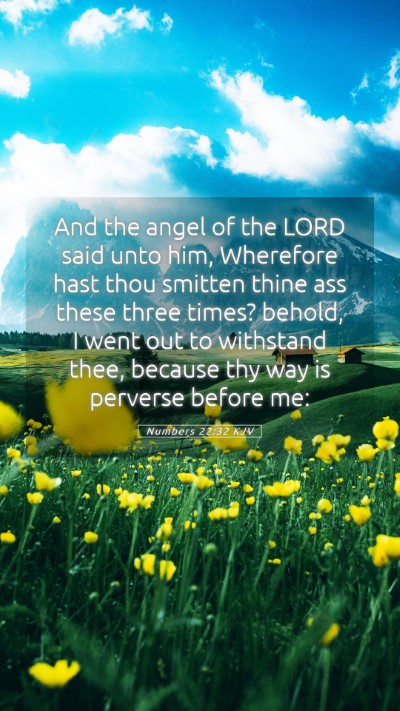 Picture 05 - Numbers 22:32 KJV Mobile Phone Wallpaper - And the angel of the LORD said unto him, - Mobile Bible Verse Wallpaper
