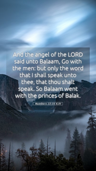 Picture 05 - Numbers 22:35 KJV Mobile Phone Wallpaper - And the angel of the LORD said unto Balaam, Go - Mobile Bible Verse Wallpaper