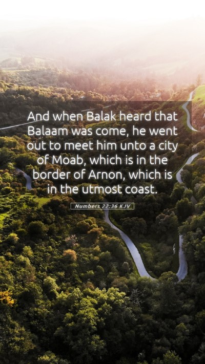 Picture 05 - Numbers 22:36 KJV Mobile Phone Wallpaper - And when Balak heard that Balaam was come, he - Mobile Bible Verse Wallpaper