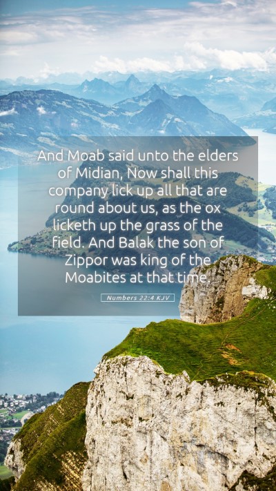 Picture 05 - Numbers 22:4 KJV Mobile Phone Wallpaper - And Moab said unto the elders of Midian, Now - Mobile Bible Verse Wallpaper