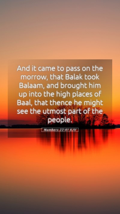 Picture 05 - Numbers 22:41 KJV Mobile Phone Wallpaper - And it came to pass on the morrow, that Balak - Mobile Bible Verse Wallpaper
