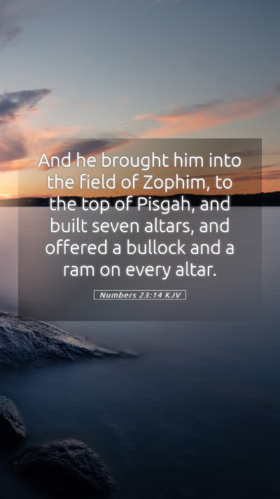 Picture 05 - Numbers 23:14 KJV Mobile Phone Wallpaper - And he brought him into the field of Zophim, to - Mobile Bible Verse Wallpaper