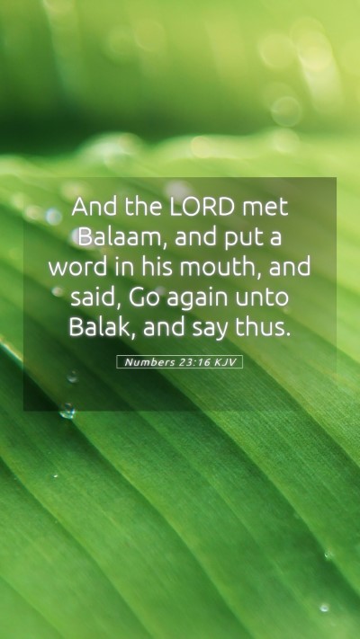 Picture 05 - Numbers 23:16 KJV Mobile Phone Wallpaper - And the LORD met Balaam, and put a word in his - Mobile Bible Verse Wallpaper