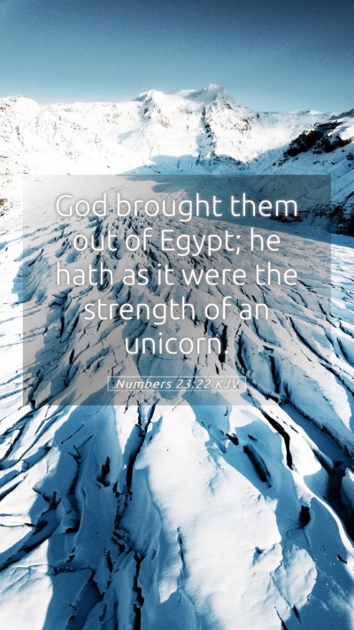 Picture 05 - Numbers 23:22 KJV Mobile Phone Wallpaper - God brought them out of Egypt; he hath as it were - Mobile Bible Verse Wallpaper
