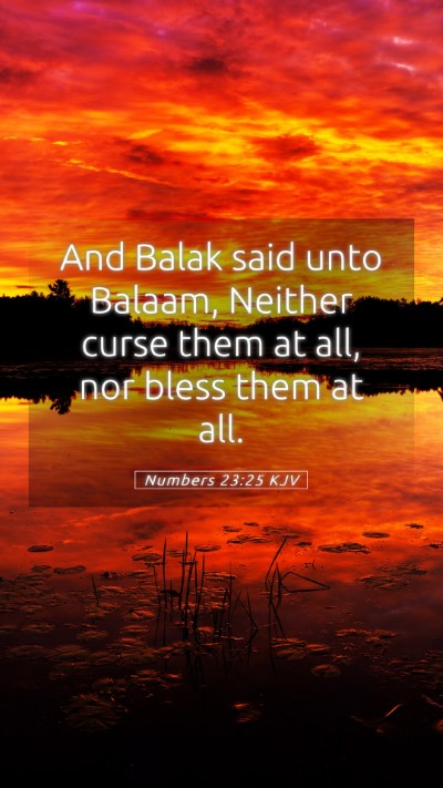 Picture 05 - Numbers 23:25 KJV Mobile Phone Wallpaper - And Balak said unto Balaam, Neither curse them at - Mobile Bible Verse Wallpaper