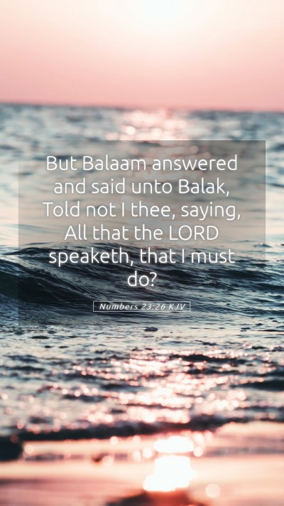 Picture 05 - Numbers 23:26 KJV Mobile Phone Wallpaper - But Balaam answered and said unto Balak, Told not - Mobile Bible Verse Wallpaper