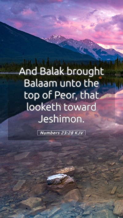 Picture 05 - Numbers 23:28 KJV Mobile Phone Wallpaper - And Balak brought Balaam unto the top of Peor, - Mobile Bible Verse Wallpaper