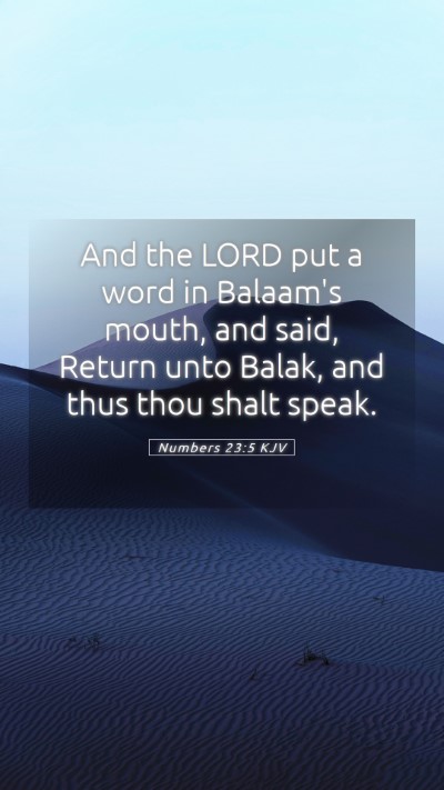 Picture 05 - Numbers 23:5 KJV Mobile Phone Wallpaper - And the LORD put a word in Balaam's mouth, and - Mobile Bible Verse Wallpaper