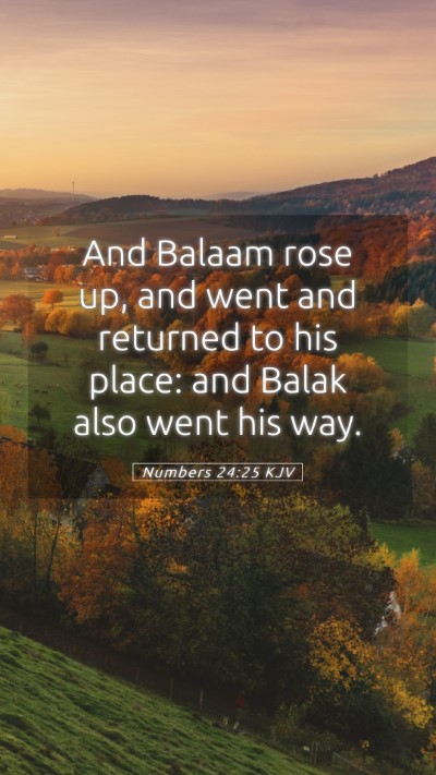 Picture 05 - Numbers 24:25 KJV Mobile Phone Wallpaper - And Balaam rose up, and went and returned to his - Mobile Bible Verse Wallpaper