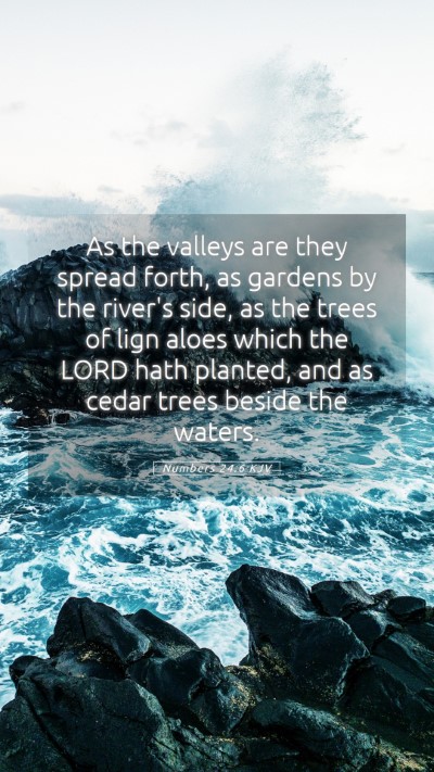 Picture 05 - Numbers 24:6 KJV Mobile Phone Wallpaper - As the valleys are they spread forth, as gardens - Mobile Bible Verse Wallpaper