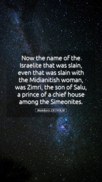 Picture 05 - Numbers 25:14 KJV Mobile Phone Wallpaper - Now the name of the Israelite that was slain, - Mobile Bible Verse Wallpaper