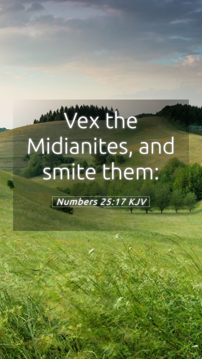 Picture 05 - Numbers 25:17 KJV Mobile Phone Wallpaper - Vex the Midianites, and smite - Mobile Bible Verse Wallpaper